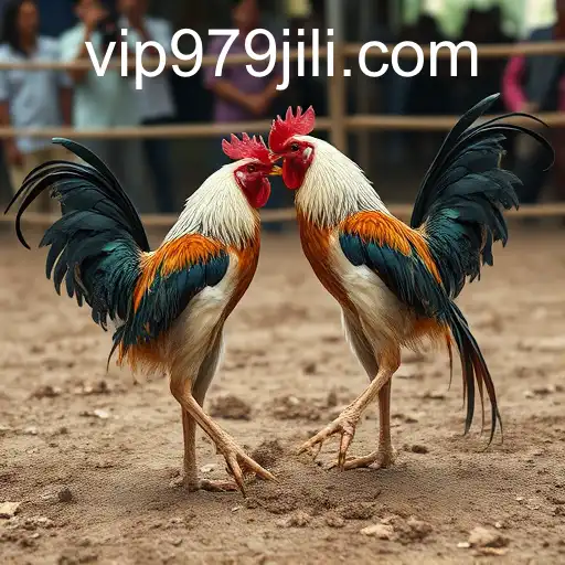 Exploring the World of Sabong Games with 979JILI.COM